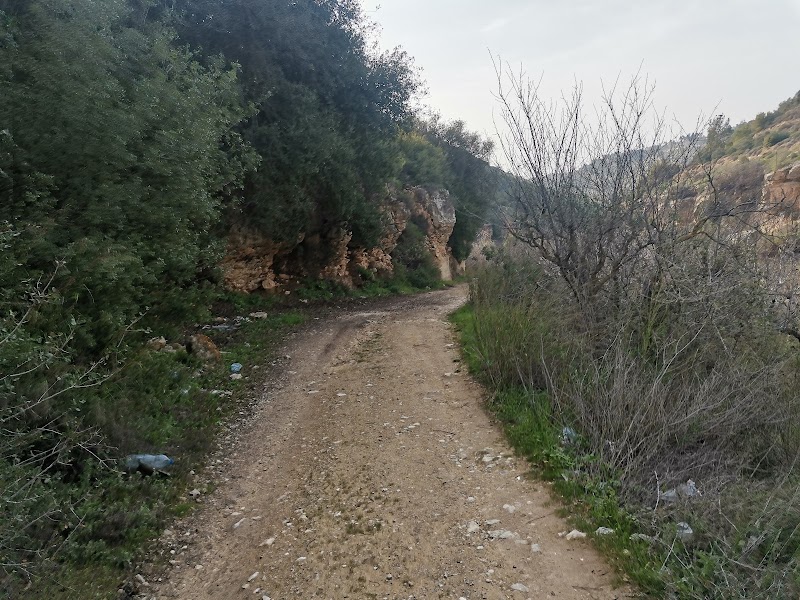 مسار محمية وادي القف