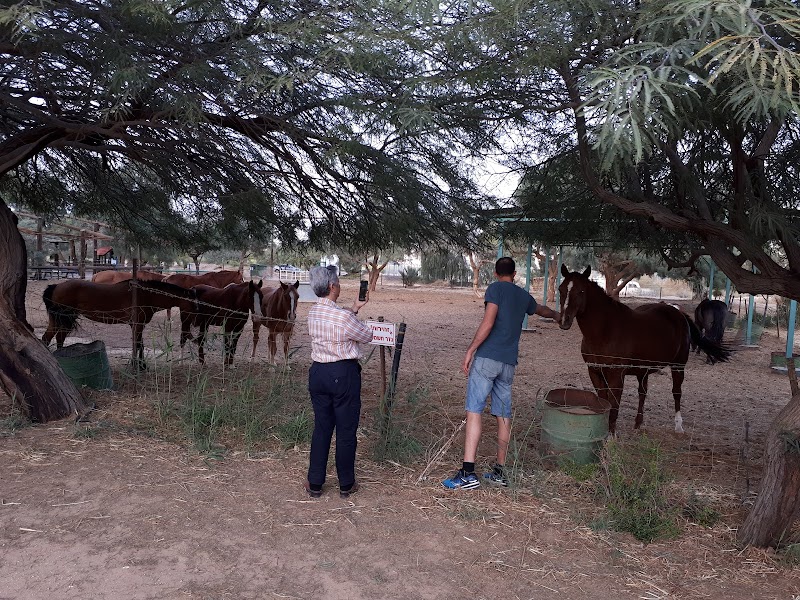 חוות סוסים
