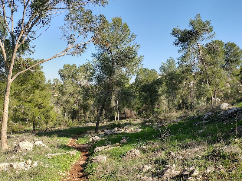 יער חורשים