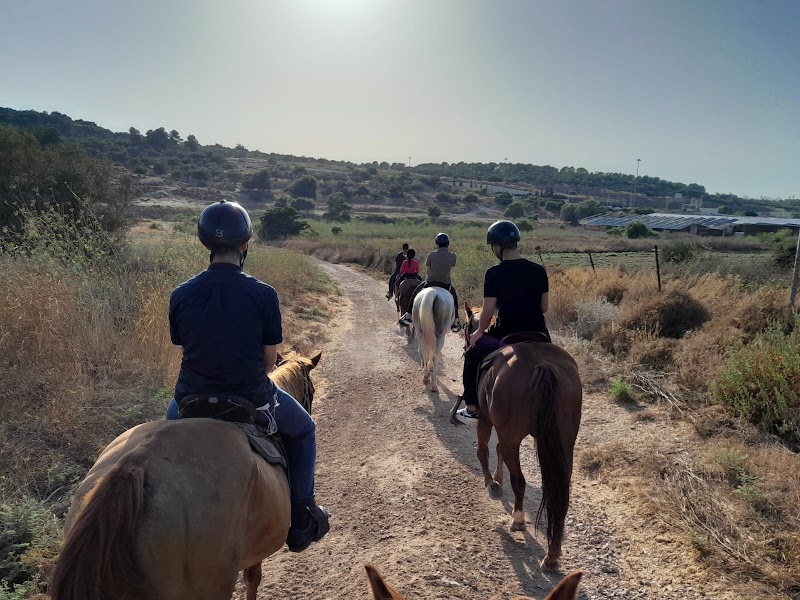 טיולי סוסים - Horse Trip