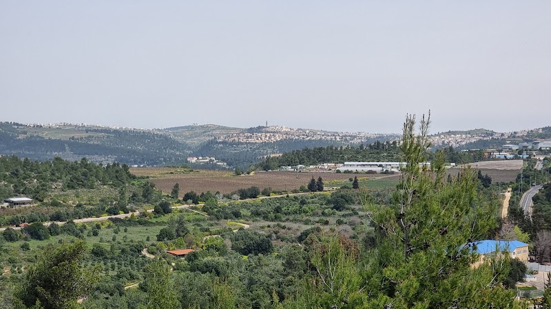 שביל המטוס סובב איתנים