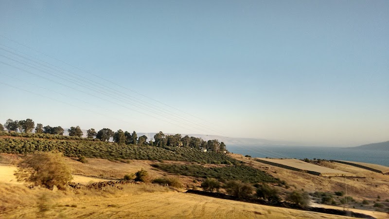 ים כנרת