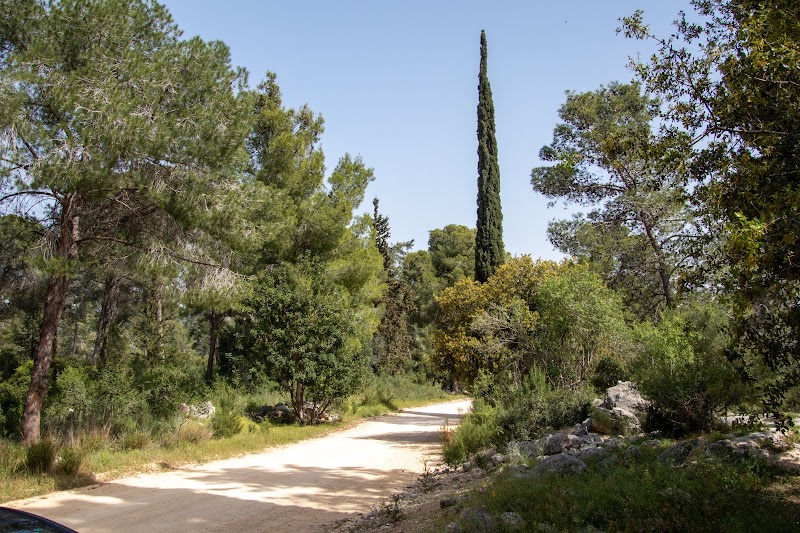יער אשתאול