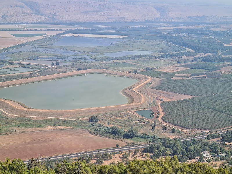 קרן נפתלי