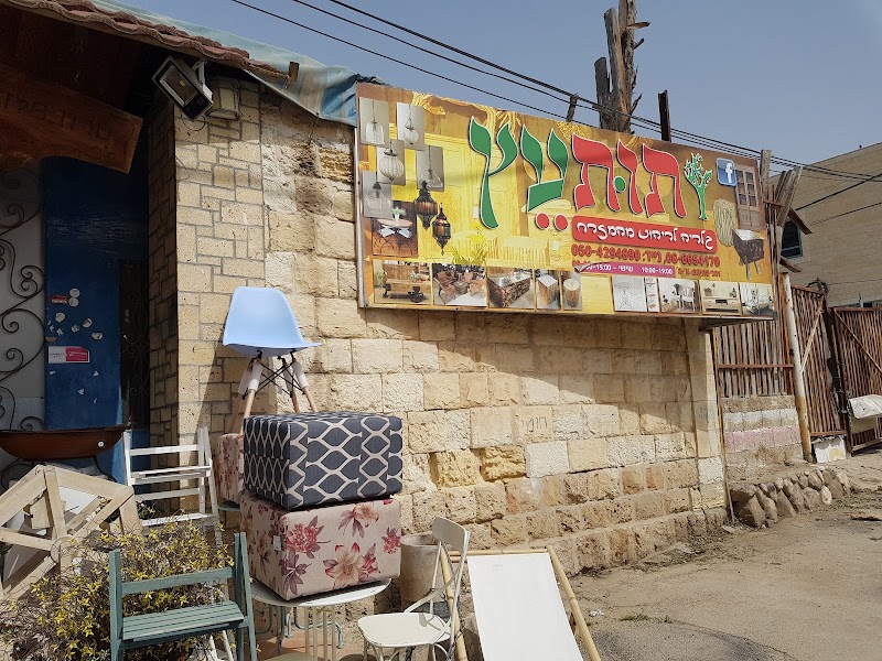 תות עץ